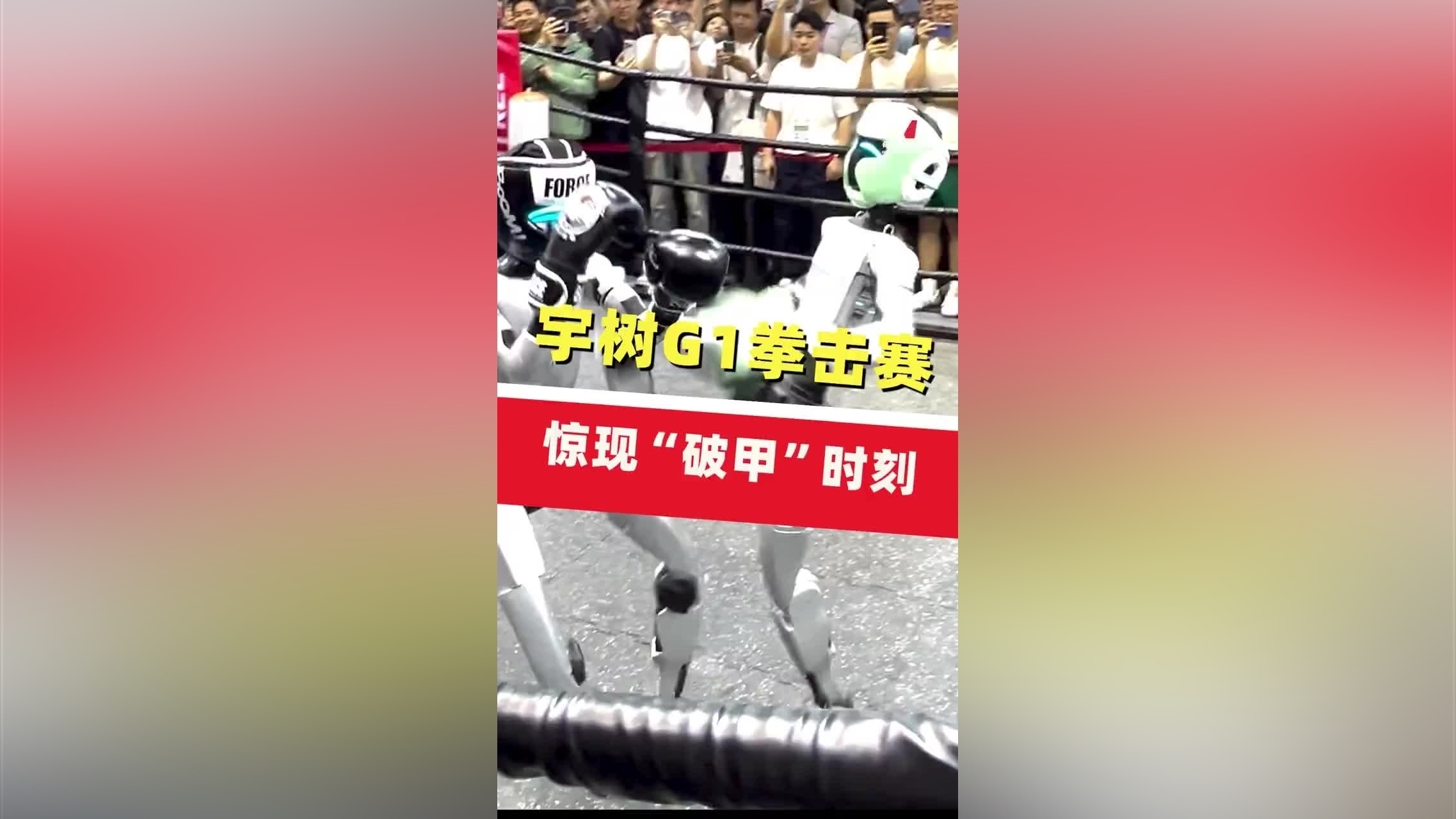 赛地聚焦——意甲窗口期热度飙升；广东宏远豪取连胜；媒体盛赞；更衣室氛围转暖的简单介绍